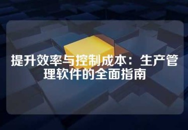 提升效率与控制成本：生产管理软件的全面指南