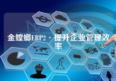 金螳螂ERP2·提升企业管理效率