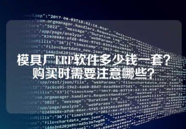 模具厂ERP软件多少钱一套？购买时需要注意哪些？