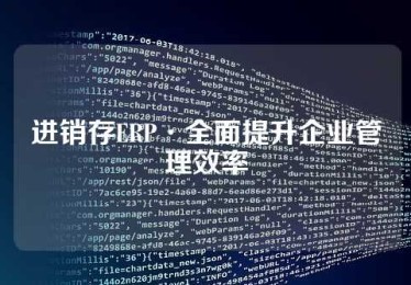 进销存ERP·全面提升企业管理效率