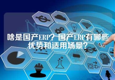 啥是国产ERP？国产ERP有哪些优势和适用场景？