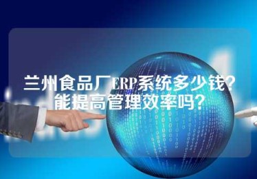 兰州食品厂ERP系统多少钱？能提高管理效率吗？