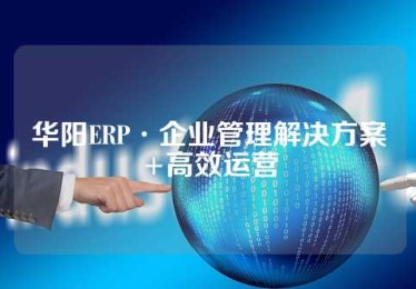 华阳ERP·企业管理解决方案+高效运营
