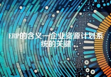 ERP的含义—企业资源计划系统的关键