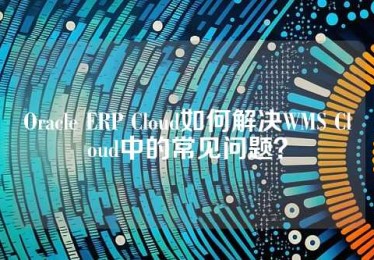 Oracle ERP Cloud如何解决WMS Cloud中的常见问题？