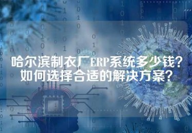 哈尔滨制衣厂ERP系统多少钱？如何选择合适的解决方案？