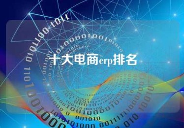 十大电商erp排名