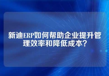 新迪ERP如何帮助企业提升管理效率和降低成本？
