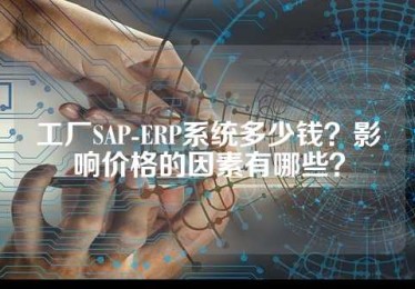 工厂SAP-ERP系统多少钱？影响价格的因素有哪些？