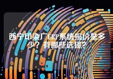 西宁印染厂ERP系统报价是多少？有哪些选择？