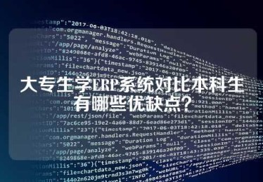大专生学ERP系统对比本科生有哪些优缺点？