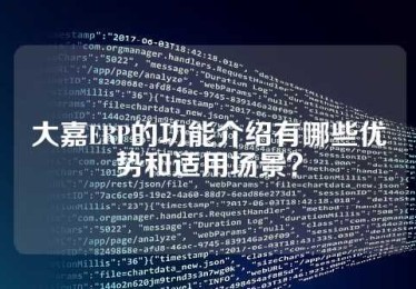 大嘉ERP的功能介绍有哪些优势和适用场景？