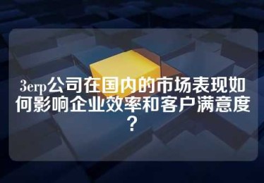 3erp公司在国内的市场表现如何影响企业效率和客户满意度？