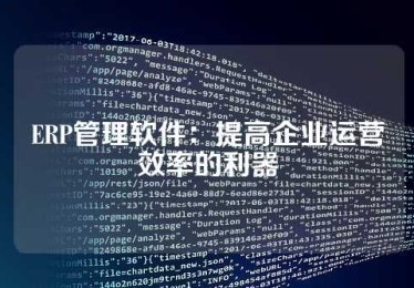 ERP管理软件：提高企业运营效率的利器