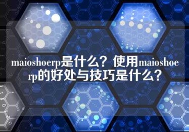 maioshoerp是什么？使用maioshoerp的好处与技巧是什么？