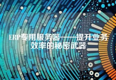 ERP专用服务器——提升业务效率的秘密武器