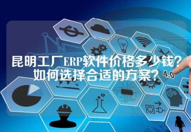 昆明工厂ERP软件价格多少钱？如何选择合适的方案？
