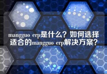 mangguo erp是什么？如何选择适合的mangguo erp解决方案？