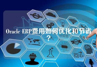 Oracle ERP费用如何优化和节省？