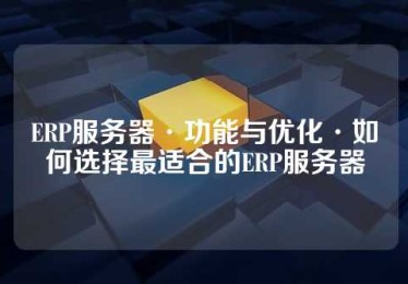 ERP服务器·功能与优化·如何选择最适合的ERP服务器