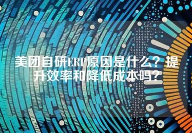 美团自研ERP原因是什么？提升效率和降低成本吗？