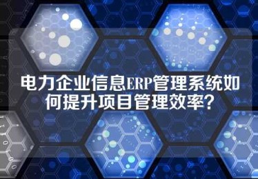 电力企业信息ERP管理系统如何提升项目管理效率？