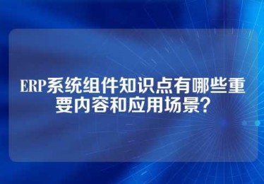 ERP系统组件知识点有哪些重要内容和应用场景？