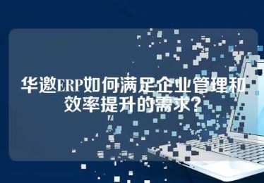华邀ERP如何满足企业管理和效率提升的需求？