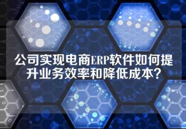 公司实现电商ERP软件如何提升业务效率和降低成本？