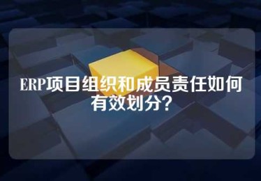 ERP项目组织和成员责任如何有效划分？