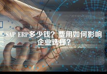 SAP ERP多少钱？费用如何影响企业选择？