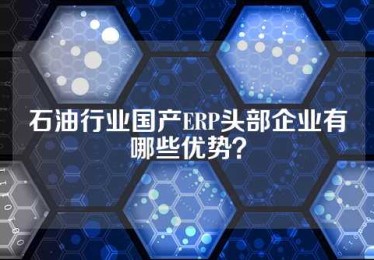 石油行业国产ERP头部企业有哪些优势？