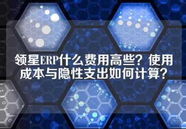 领星ERP什么费用高些？使用成本与隐性支出如何计算？