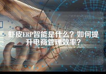 虾皮ERP智能是什么？如何提升电商管理效率？