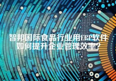 智邦国际食品行业用ERP软件如何提升企业管理效率？
