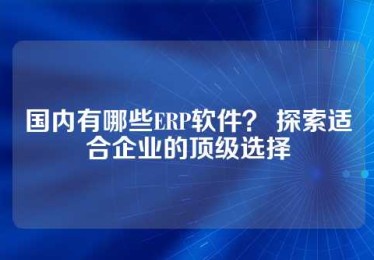 国内有哪些ERP软件？ 探索适合企业的顶级选择