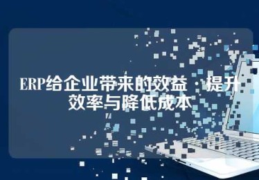 ERP给企业带来的效益·提升效率与降低成本