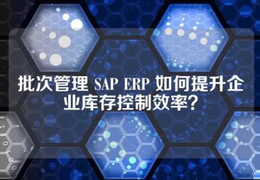 批次管理 SAP ERP 如何提升企业库存控制效率？