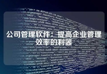公司管理软件：提高企业管理效率的利器