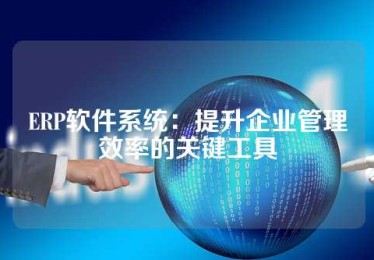 ERP软件系统：提升企业管理效率的关键工具