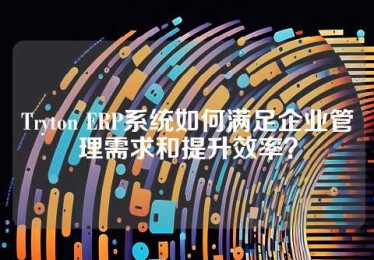 Tryton ERP系统如何满足企业管理需求和提升效率？