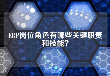 ERP岗位角色有哪些关键职责和技能？