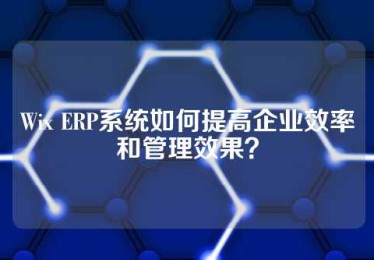 Wix ERP系统如何提高企业效率和管理效果？