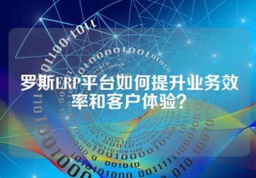 罗斯ERP平台如何提升业务效率和客户体验？