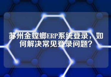 苏州金螳螂ERP系统登录，如何解决常见登录问题？