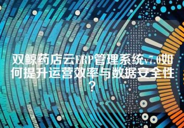 双鲸药店云ERP管理系统v7.0如何提升运营效率与数据安全性？