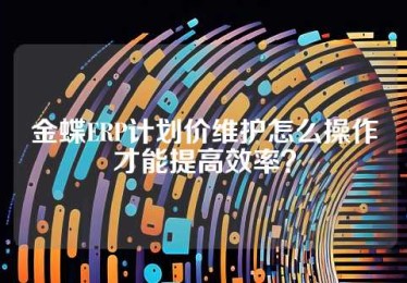 金蝶ERP计划价维护怎么操作才能提高效率？