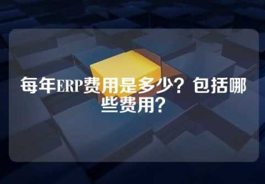 每年ERP费用是多少？包括哪些费用？