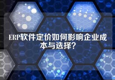 ERP软件定价如何影响企业成本与选择？