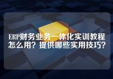 ERP财务业务一体化实训教程怎么用？提供哪些实用技巧？